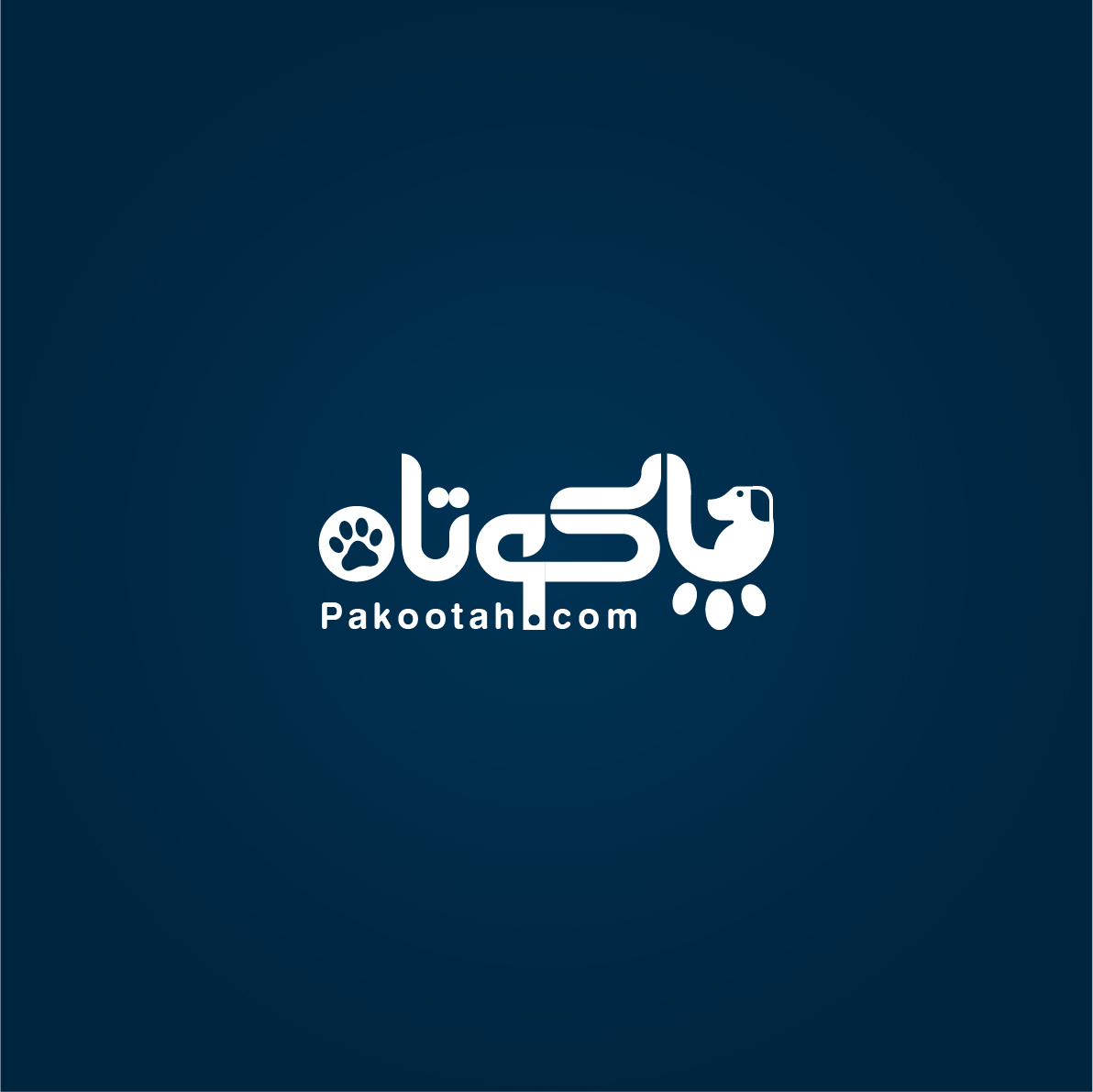 portfolio-preview