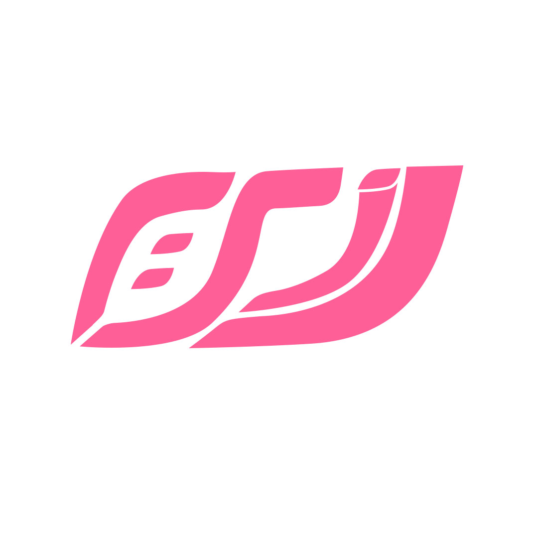 portfolio-preview
