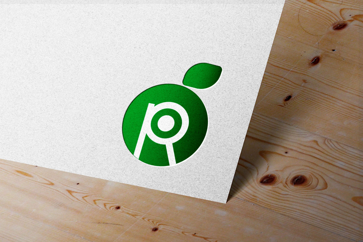 portfolio-preview