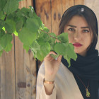 elham12hdr
