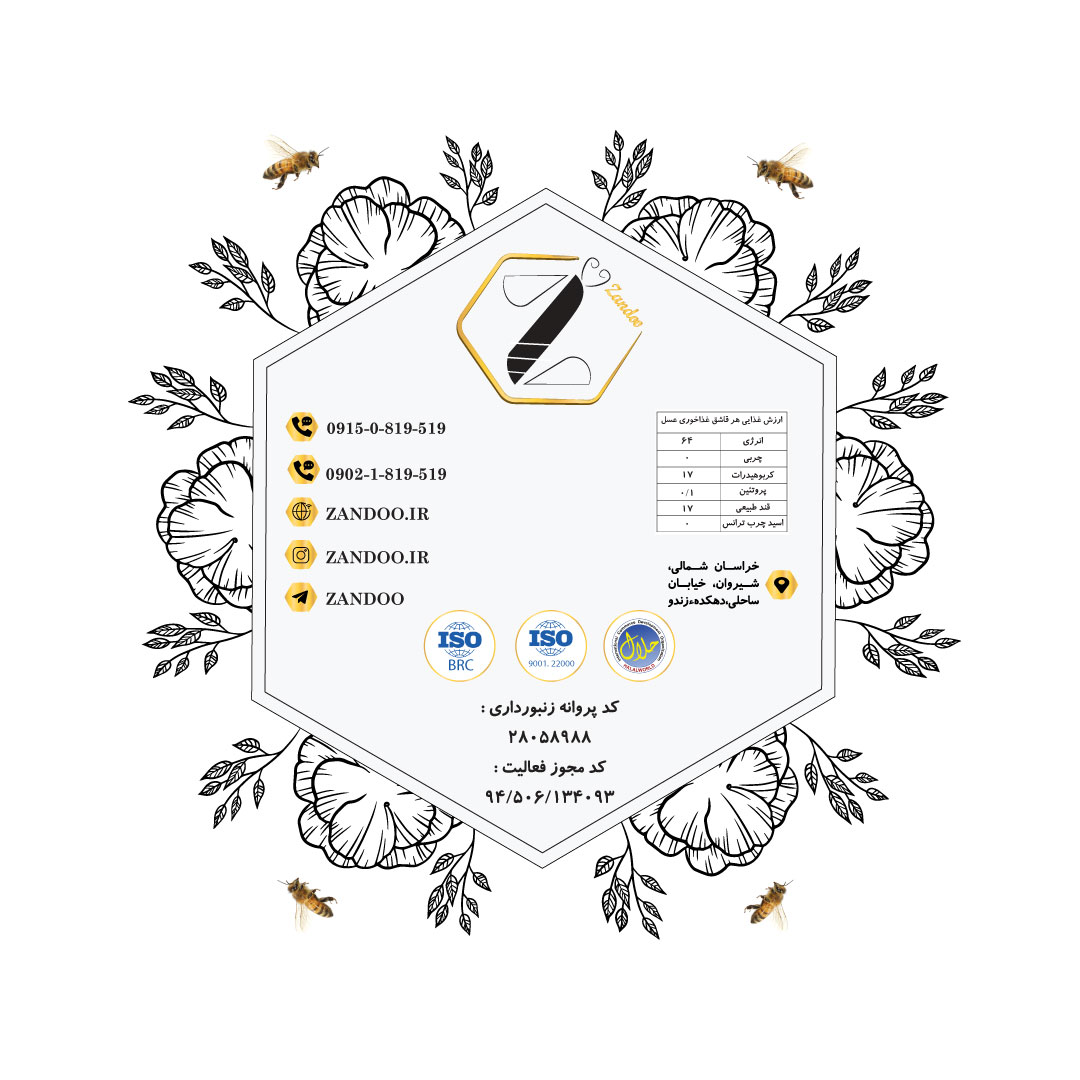 portfolio-preview