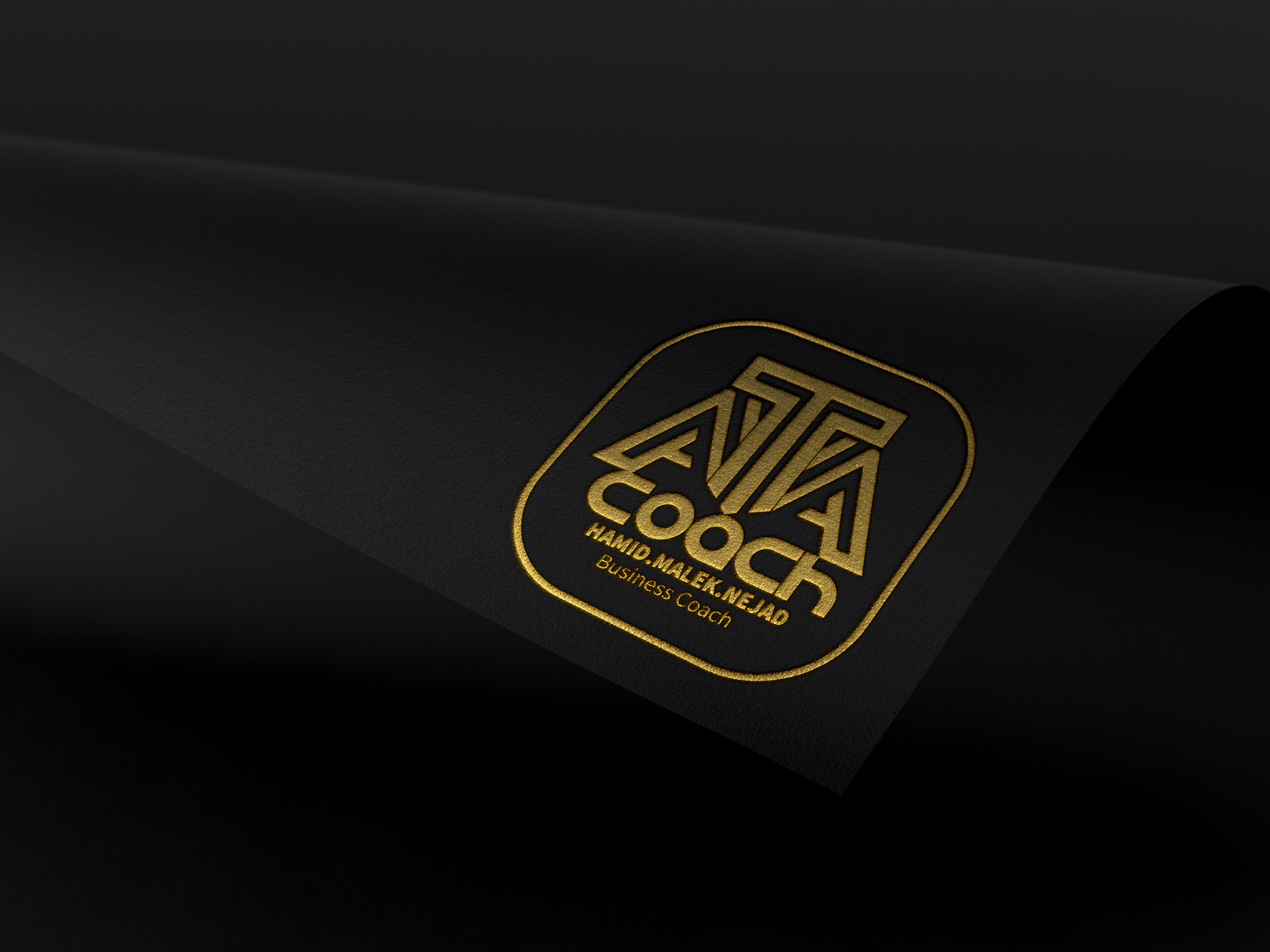portfolio-preview