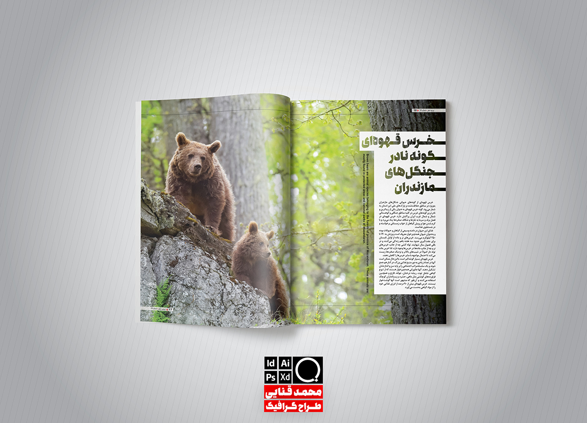 portfolio-preview