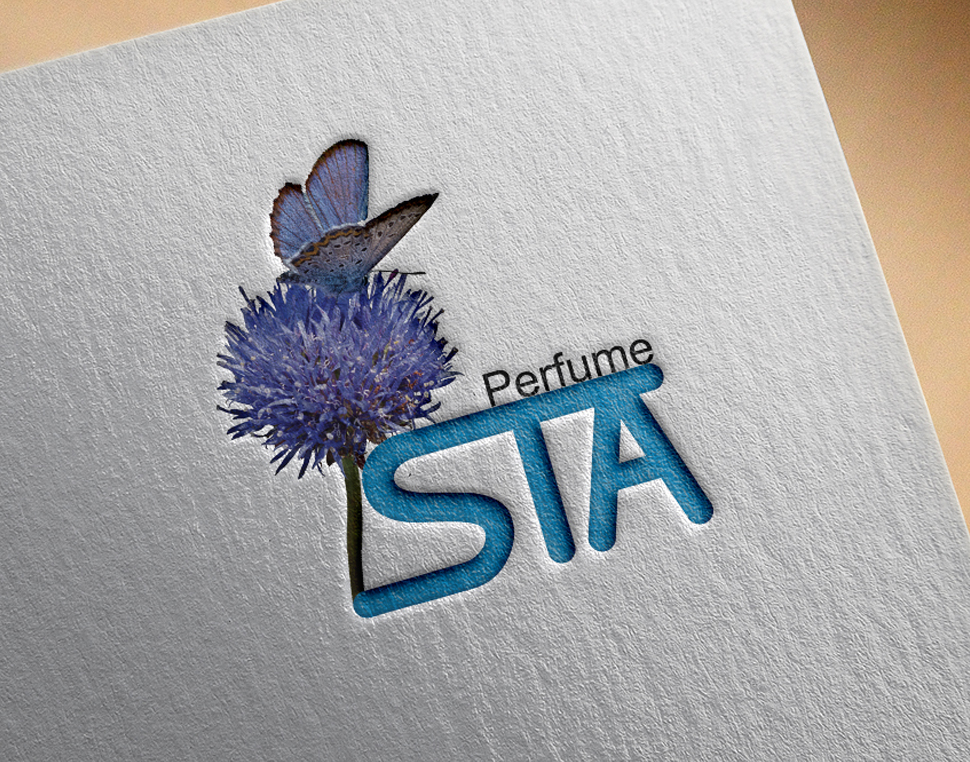 portfolio-preview