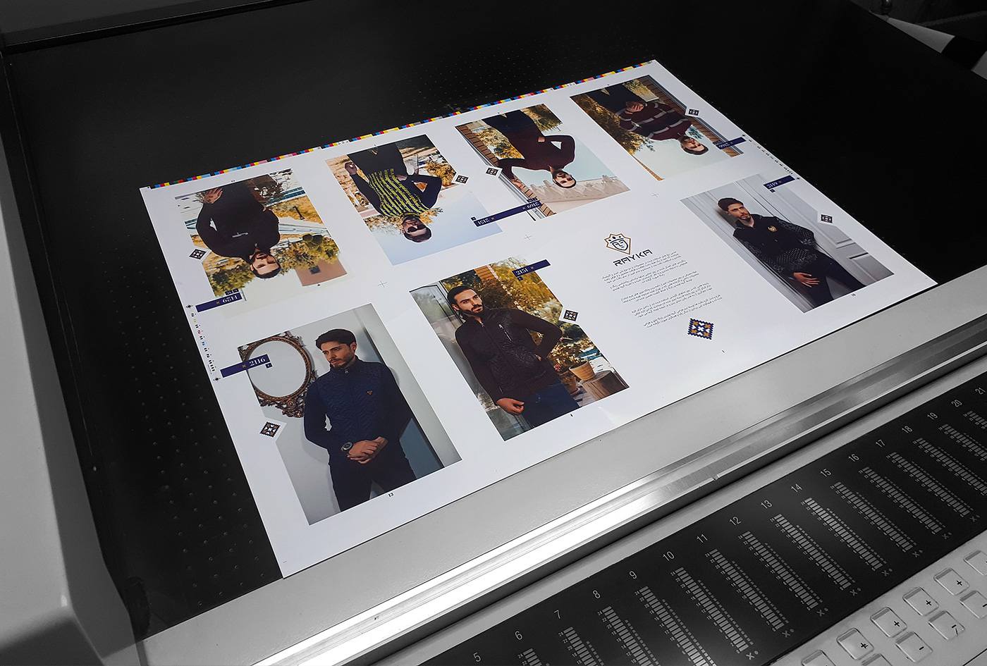 portfolio-preview