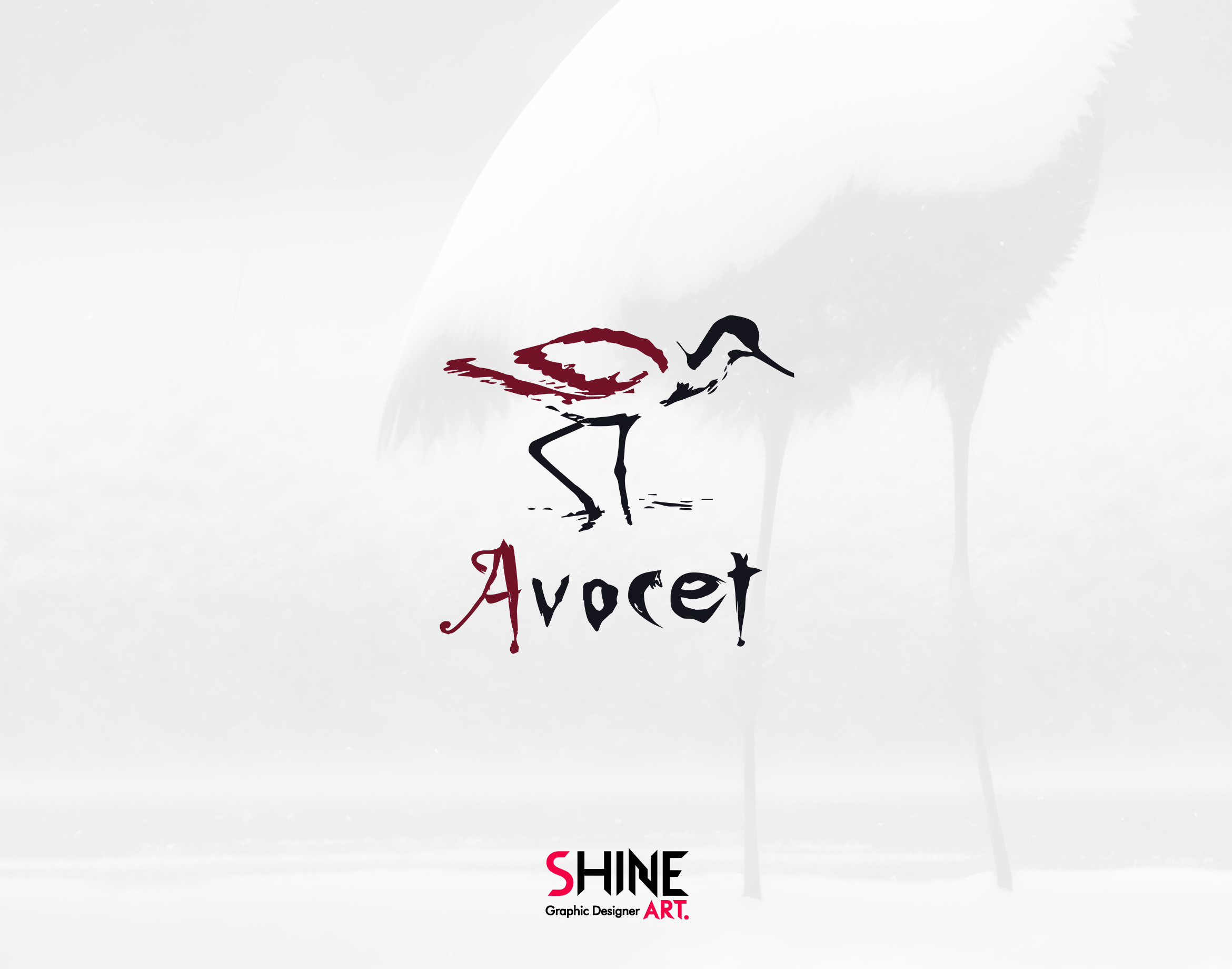 portfolio-preview