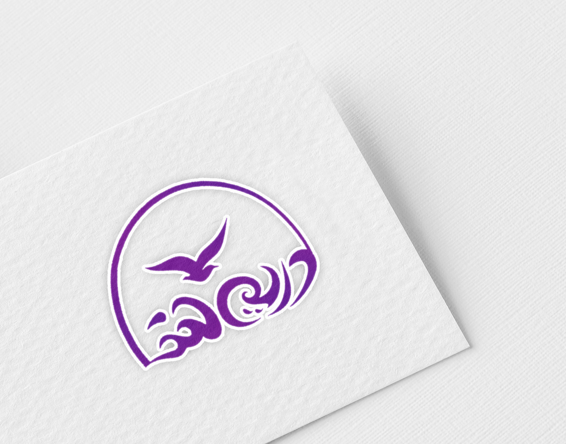 portfolio-preview