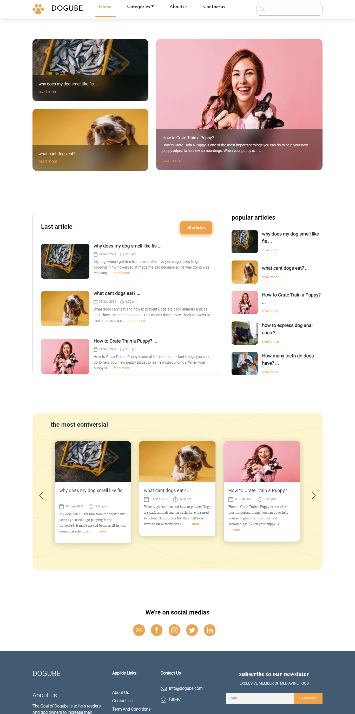 portfolio-preview
