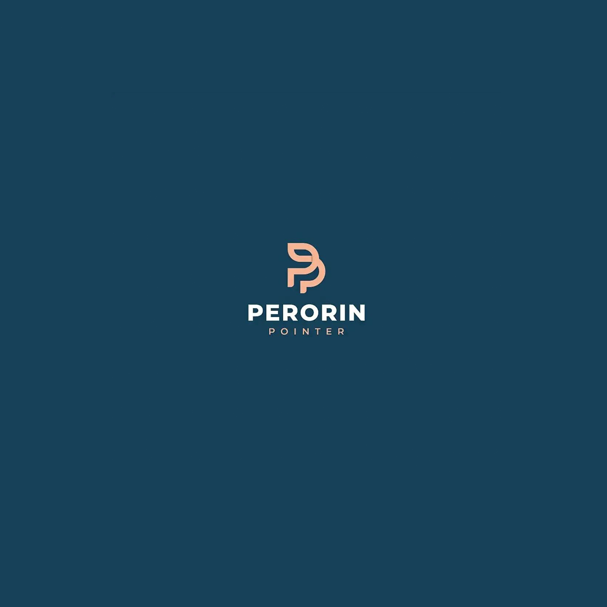 portfolio-preview