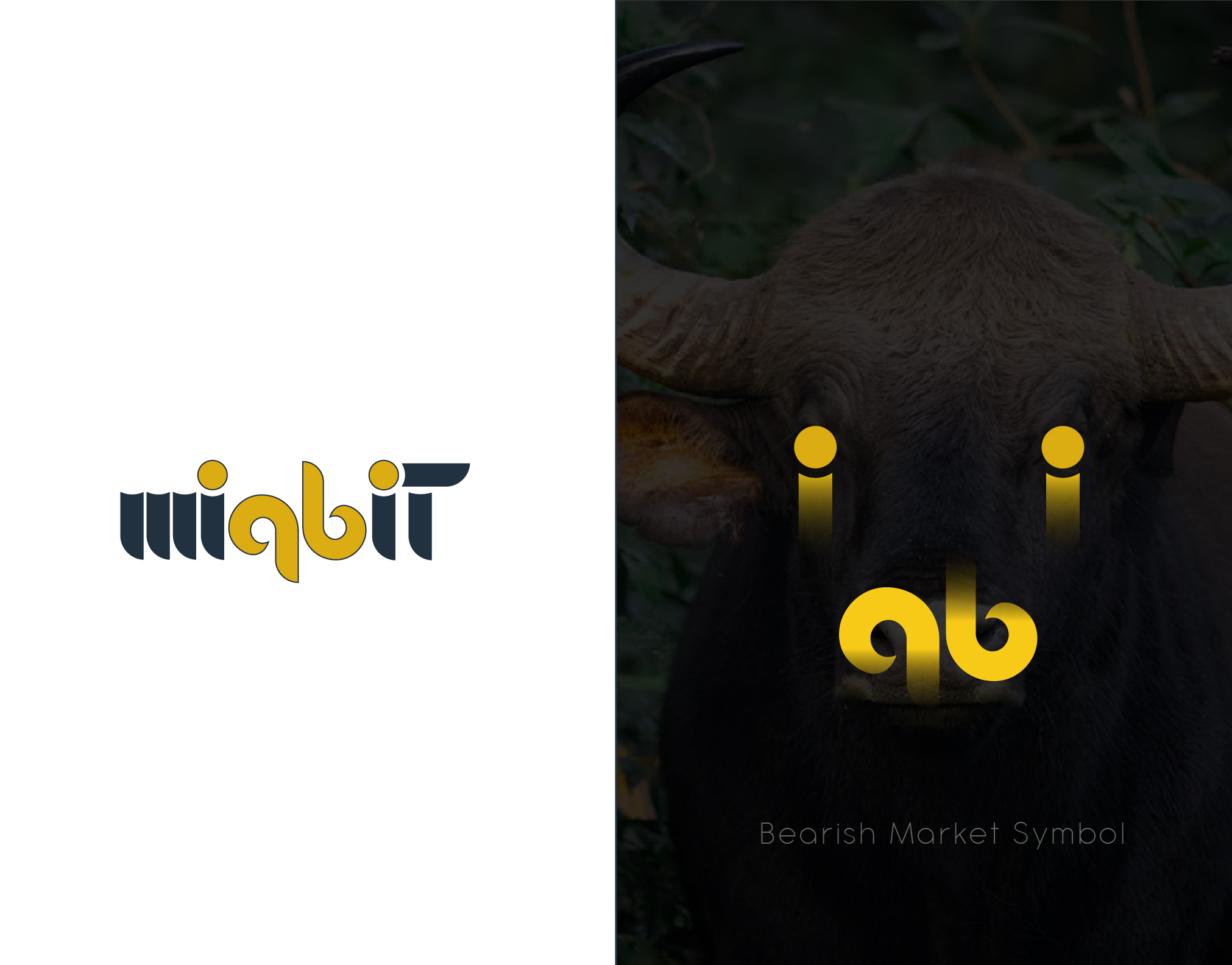 portfolio-preview