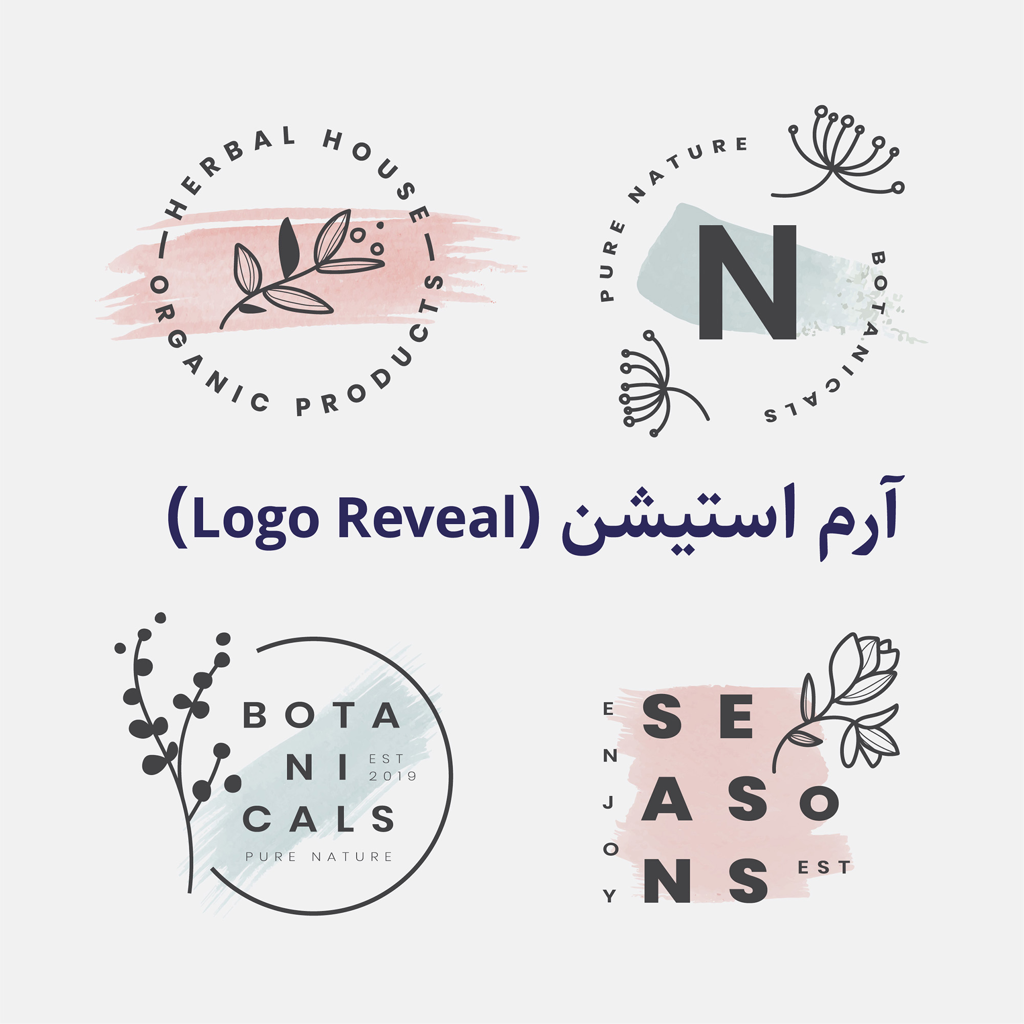 portfolio-preview
