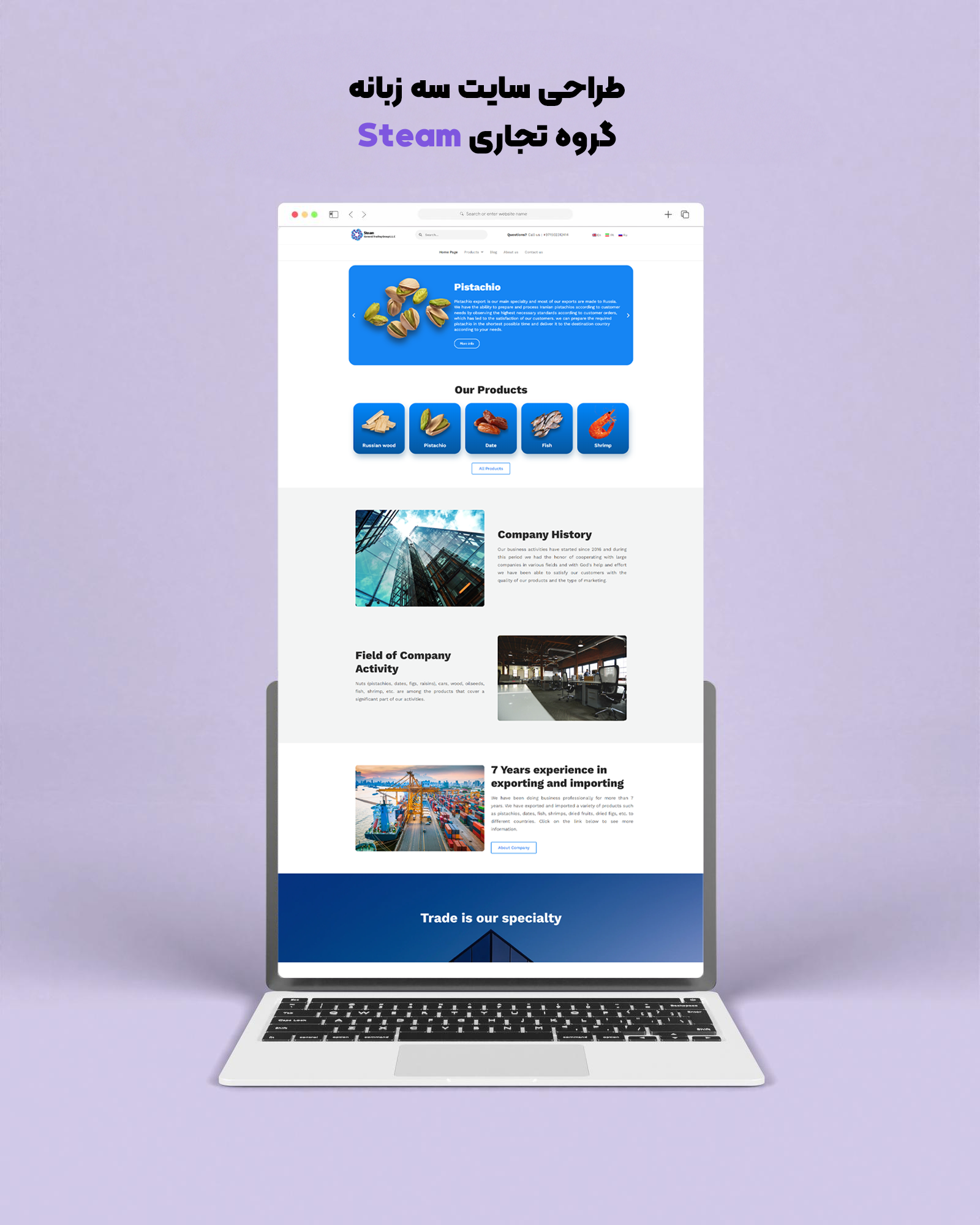 portfolio-preview