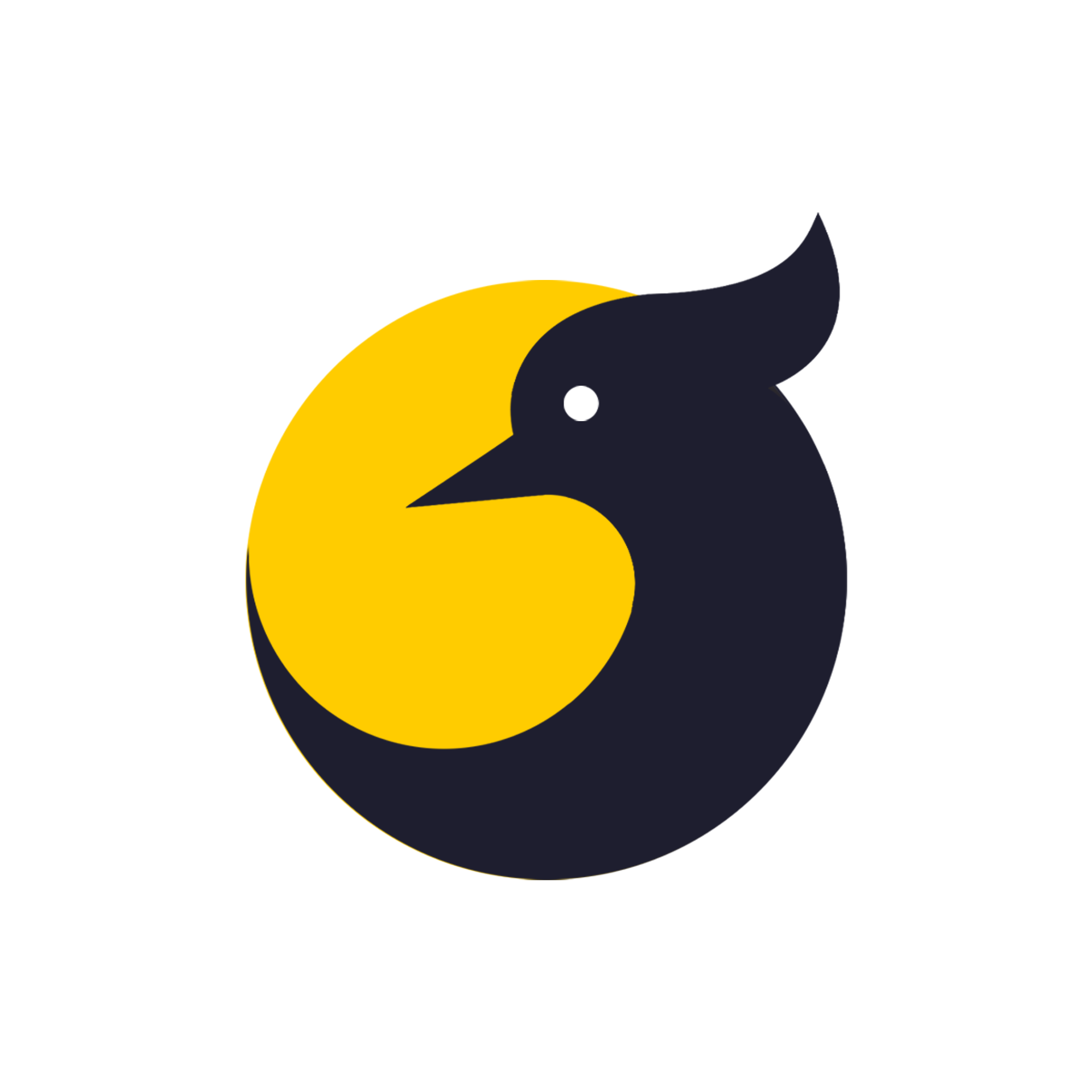 hamidrscom