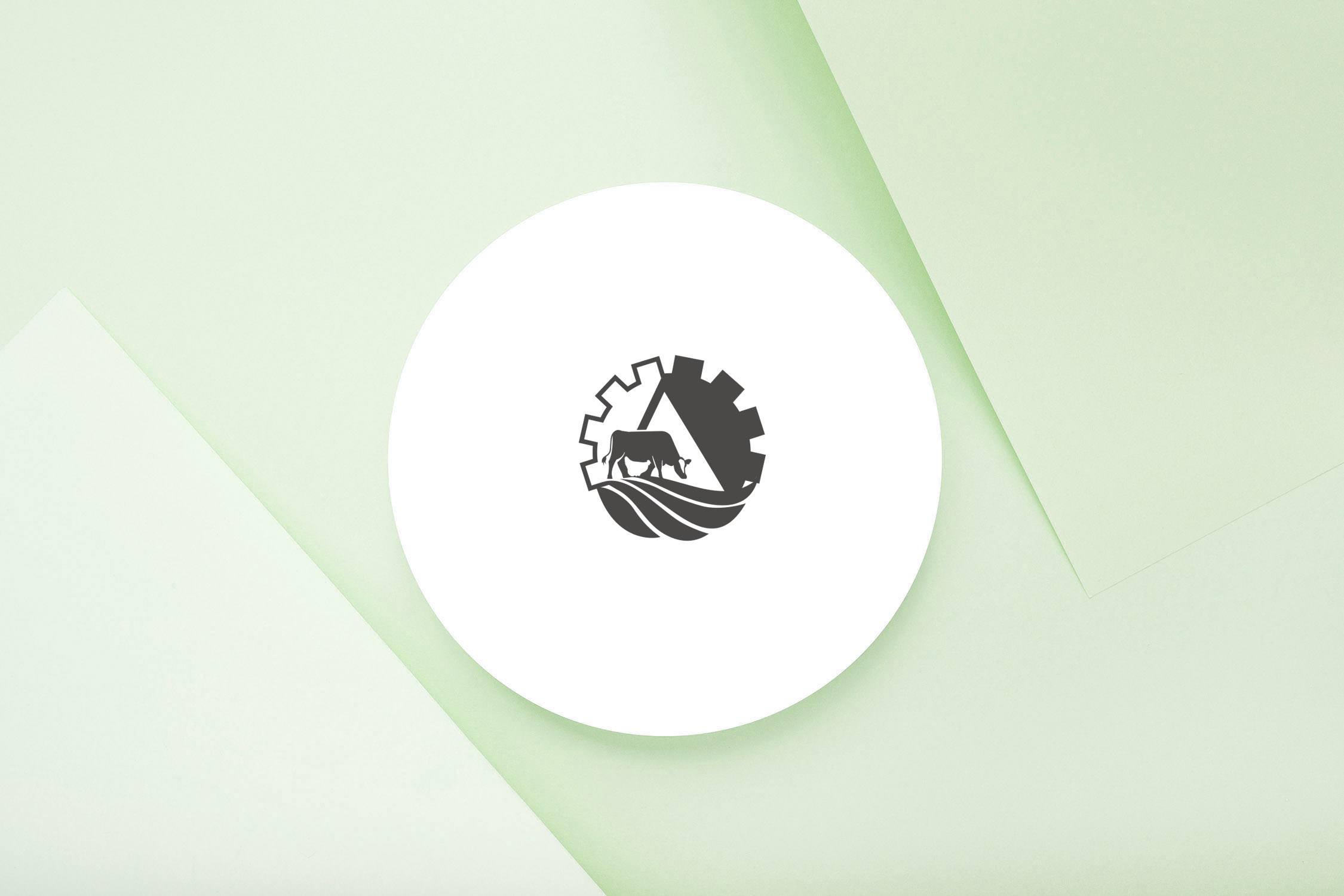 portfolio-preview