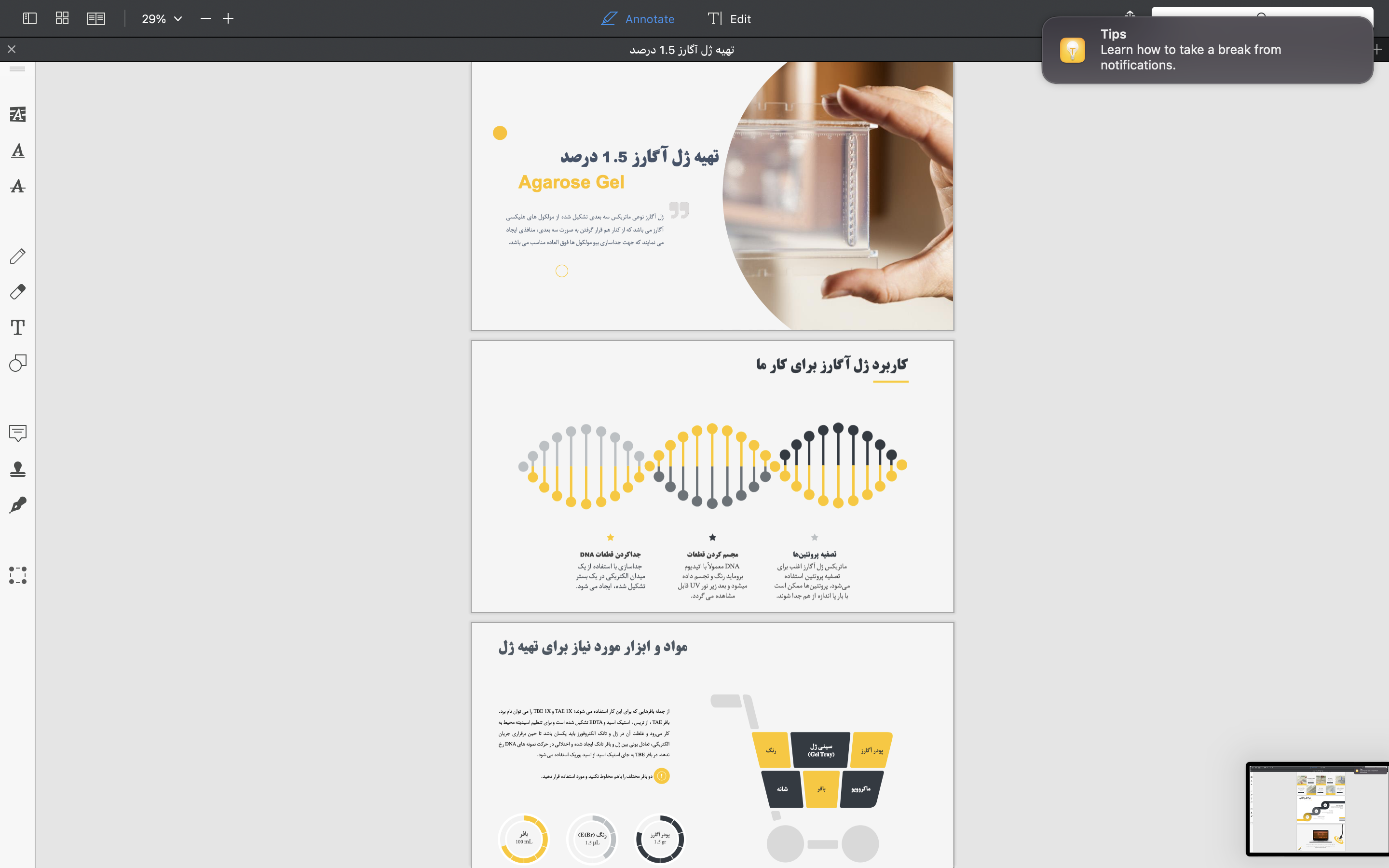 portfolio-preview