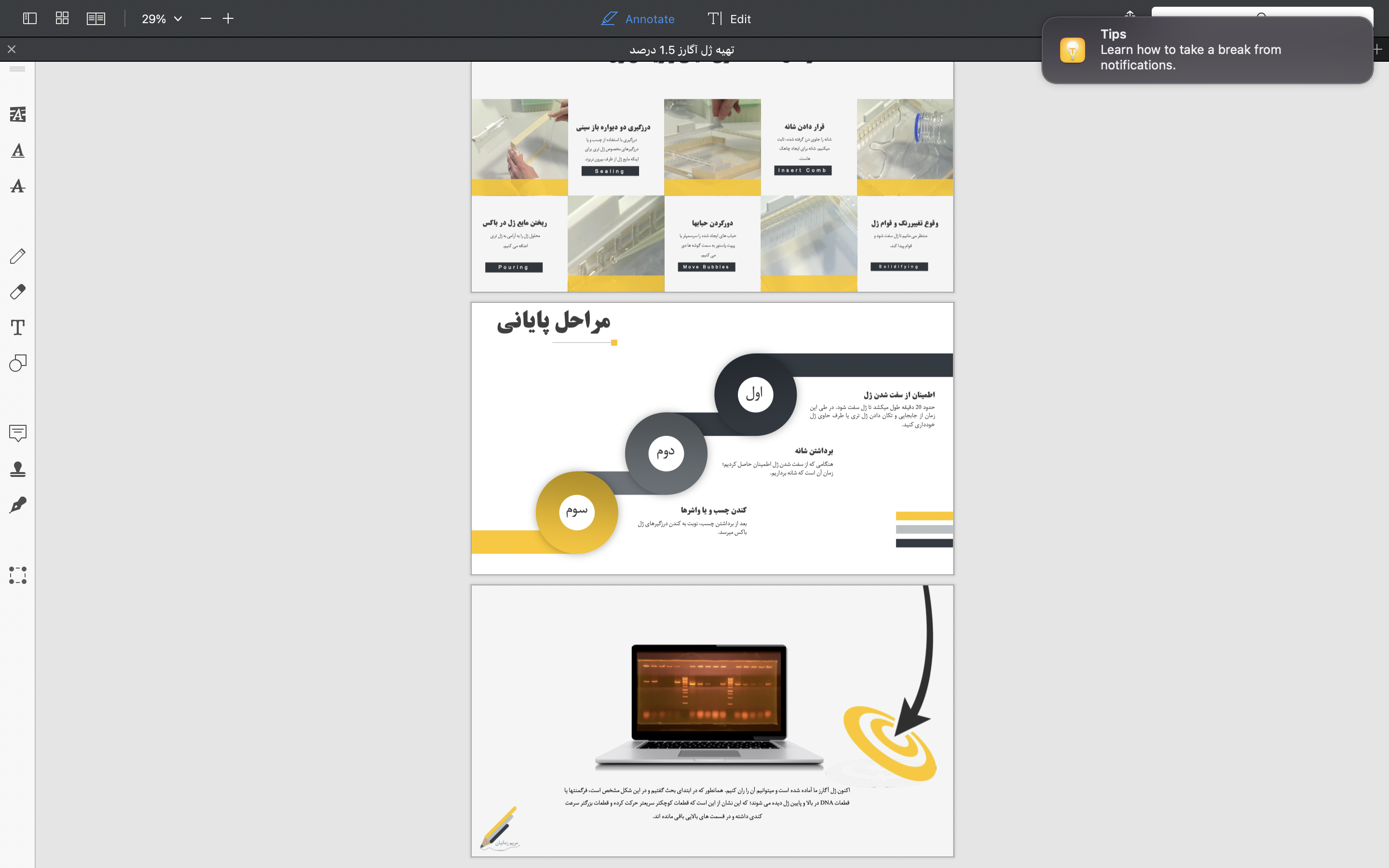 portfolio-preview