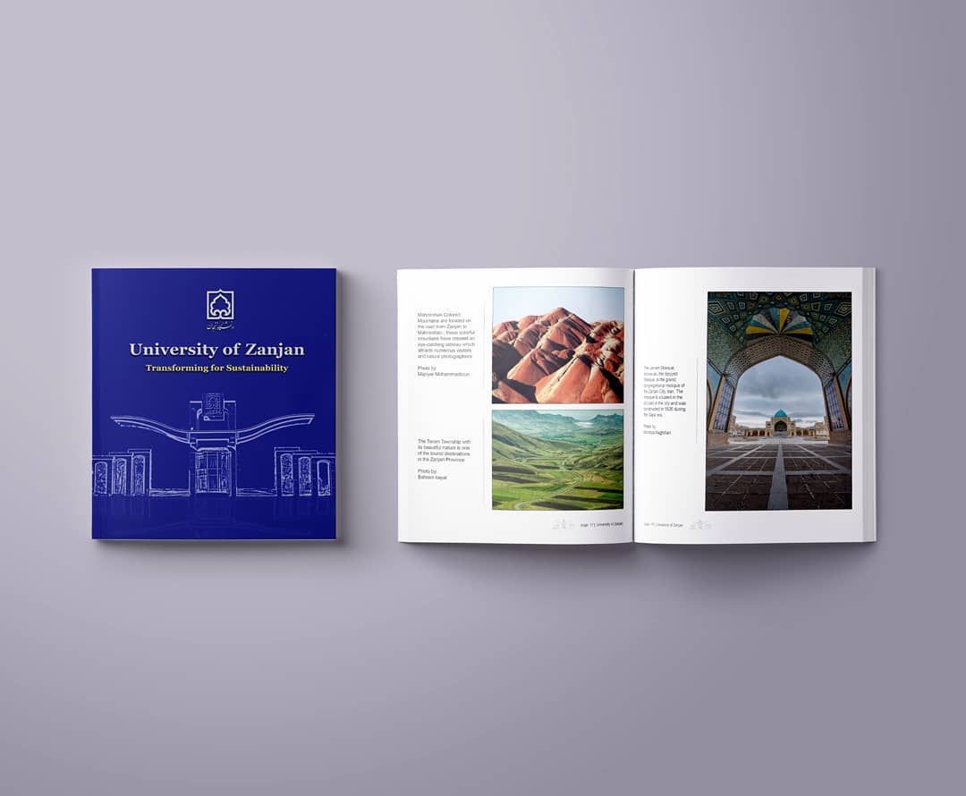 portfolio-preview
