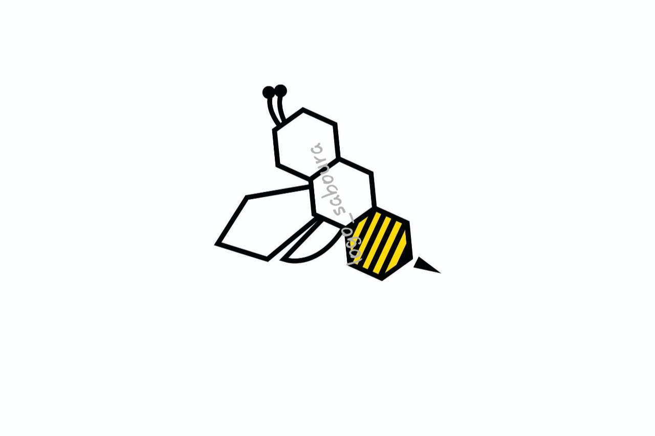portfolio-preview