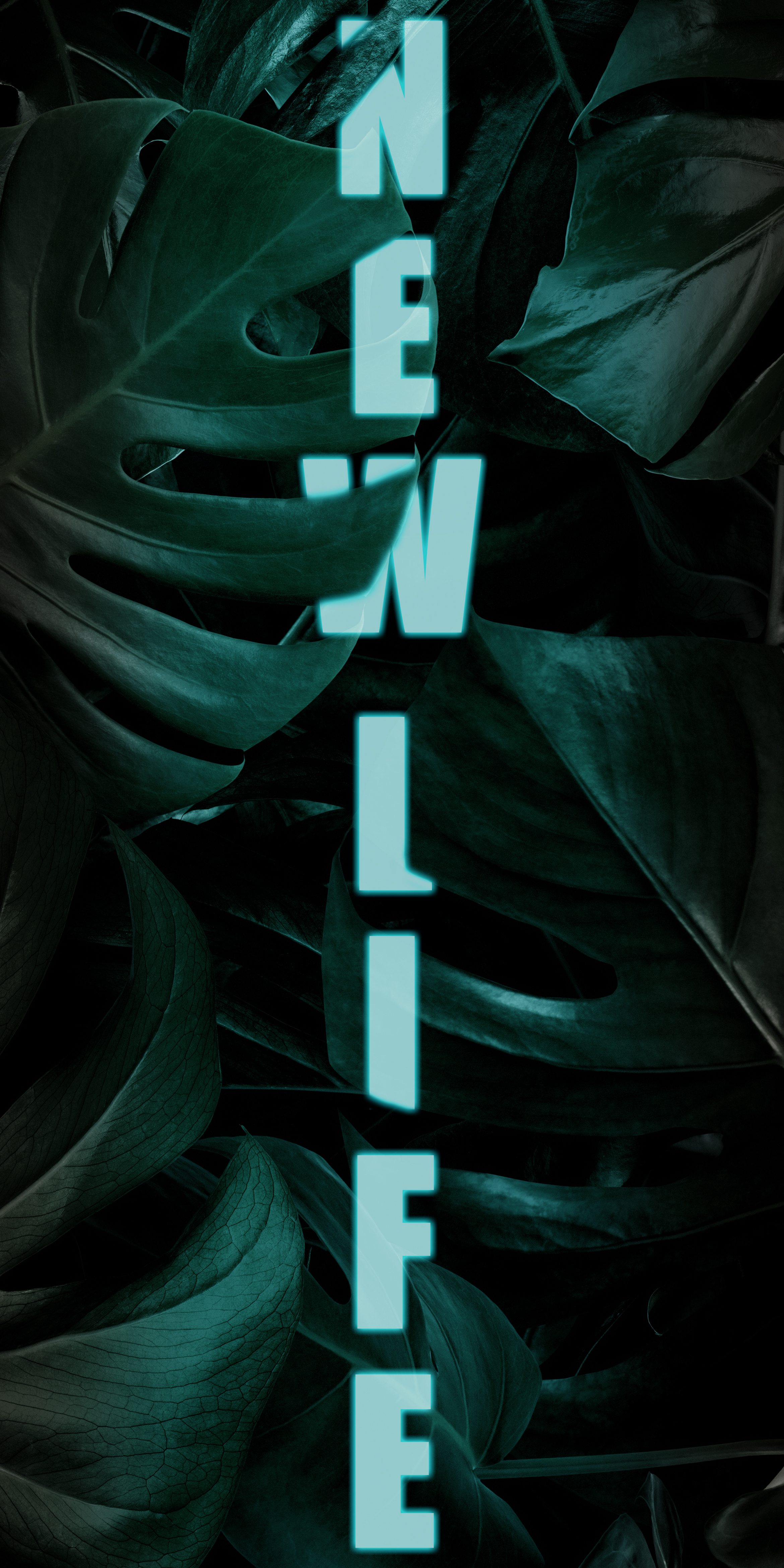 portfolio-preview