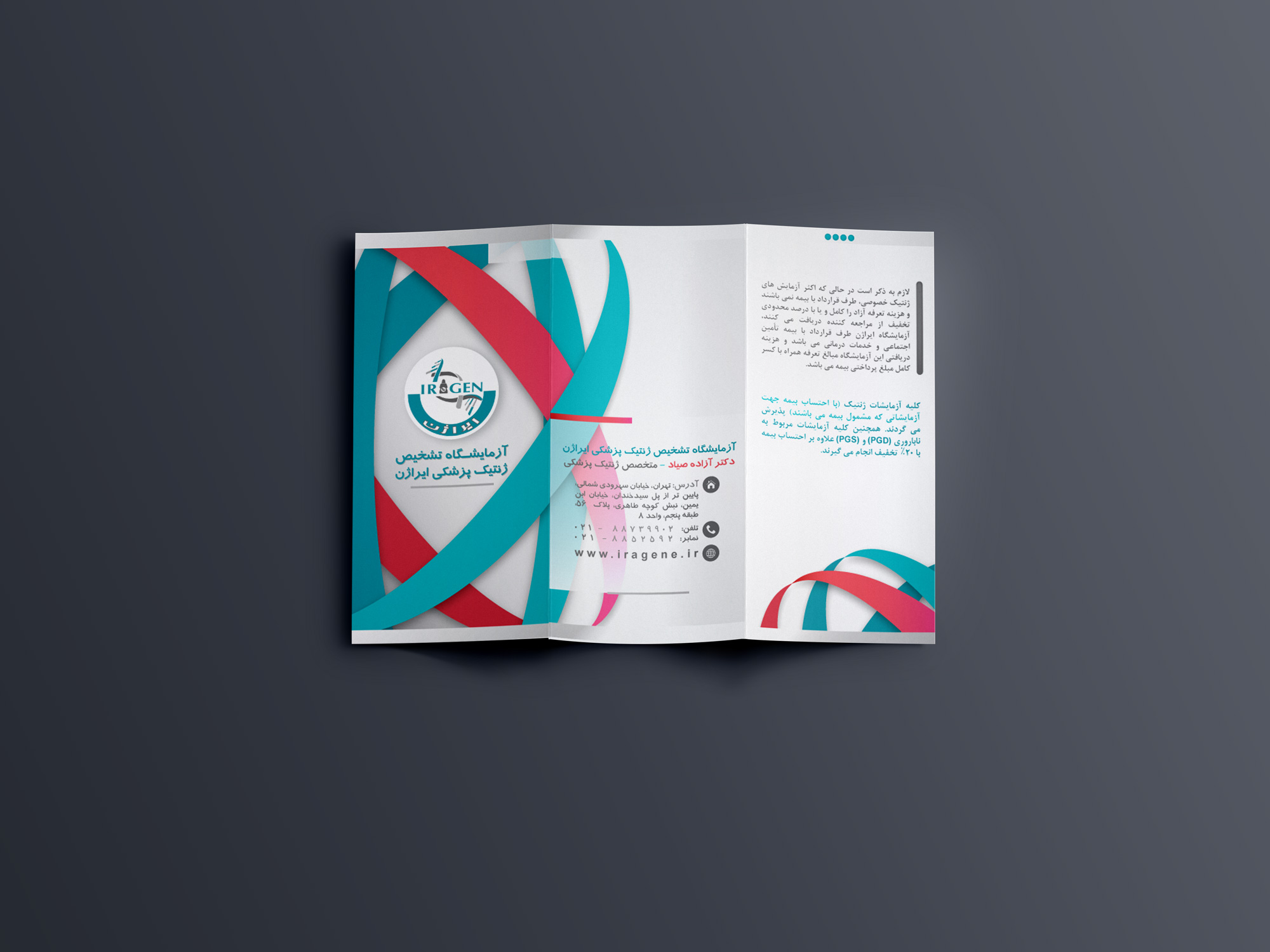 portfolio-preview