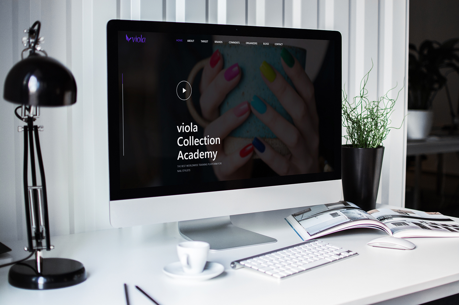 portfolio-preview