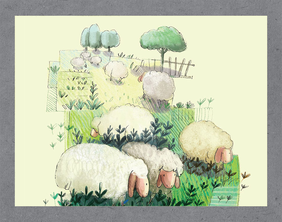 portfolio-preview