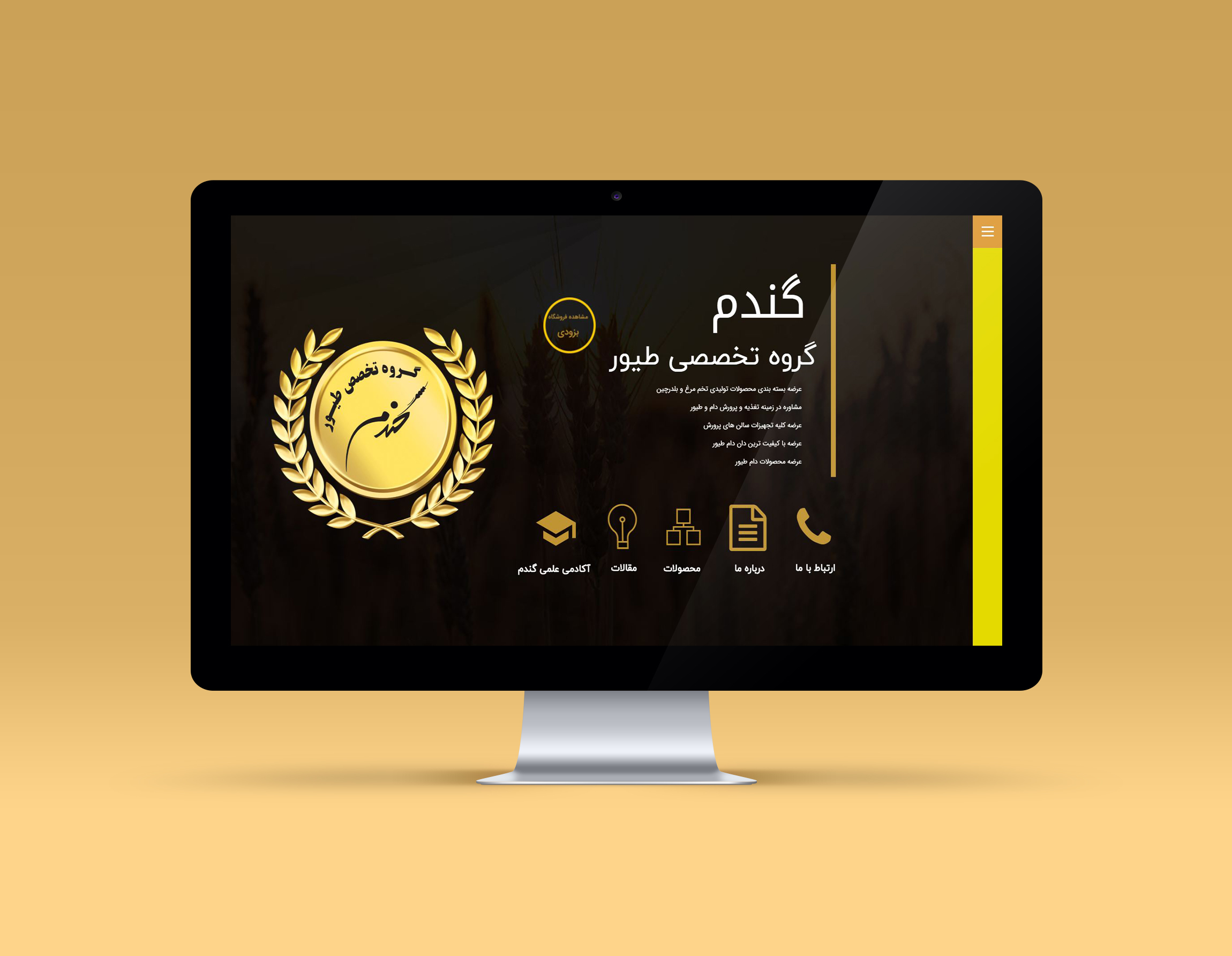 portfolio-preview