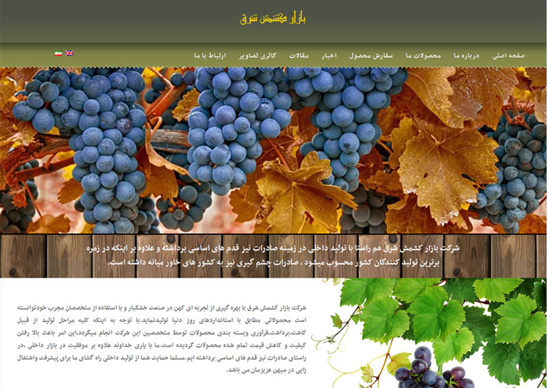 portfolio-preview