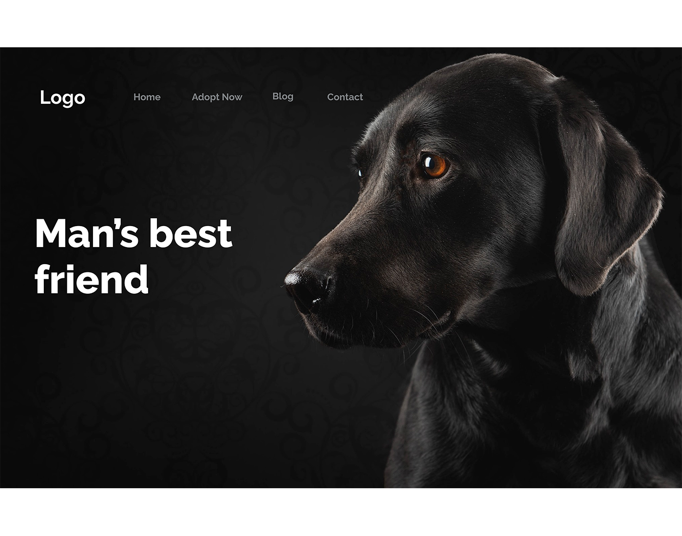 portfolio-preview