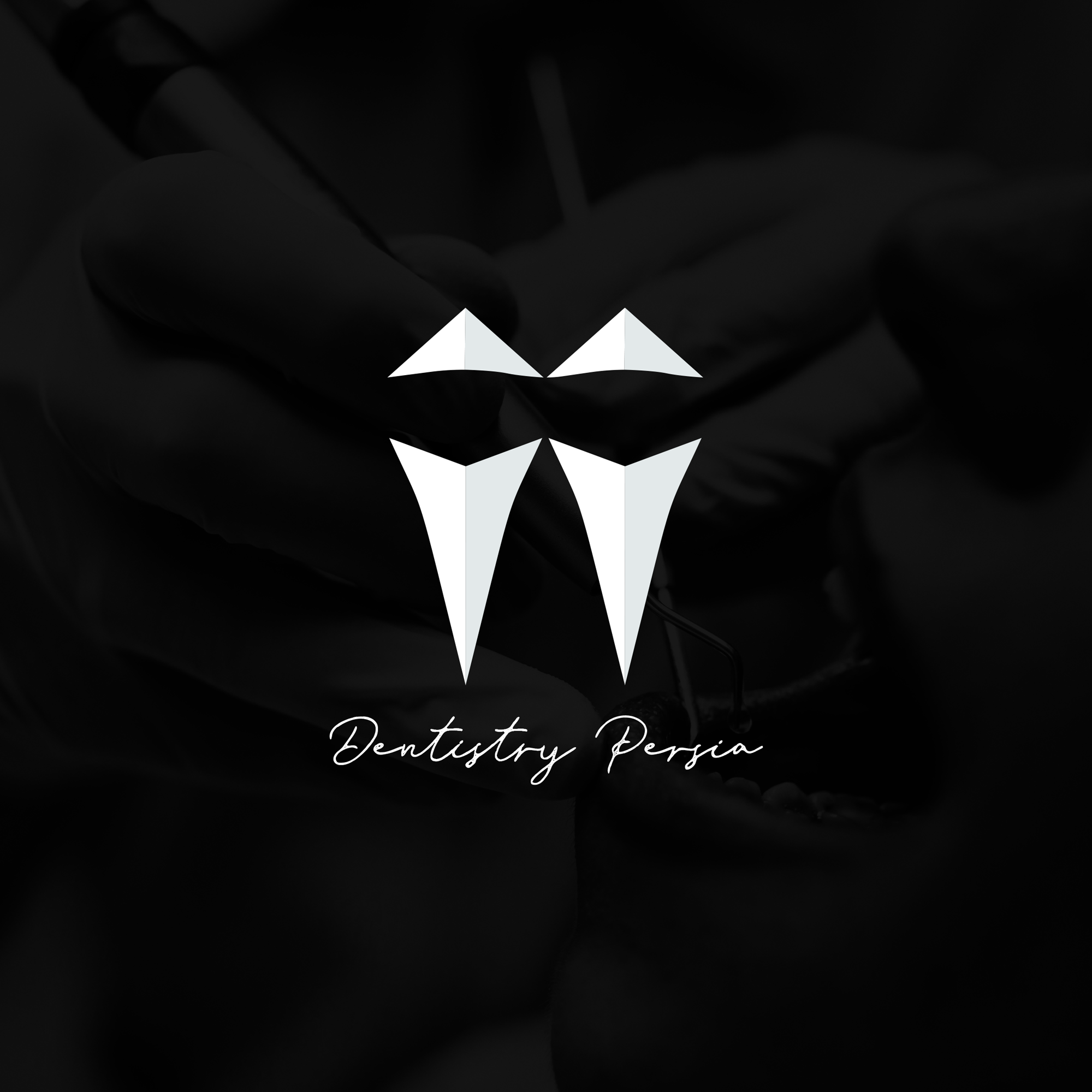 portfolio-preview