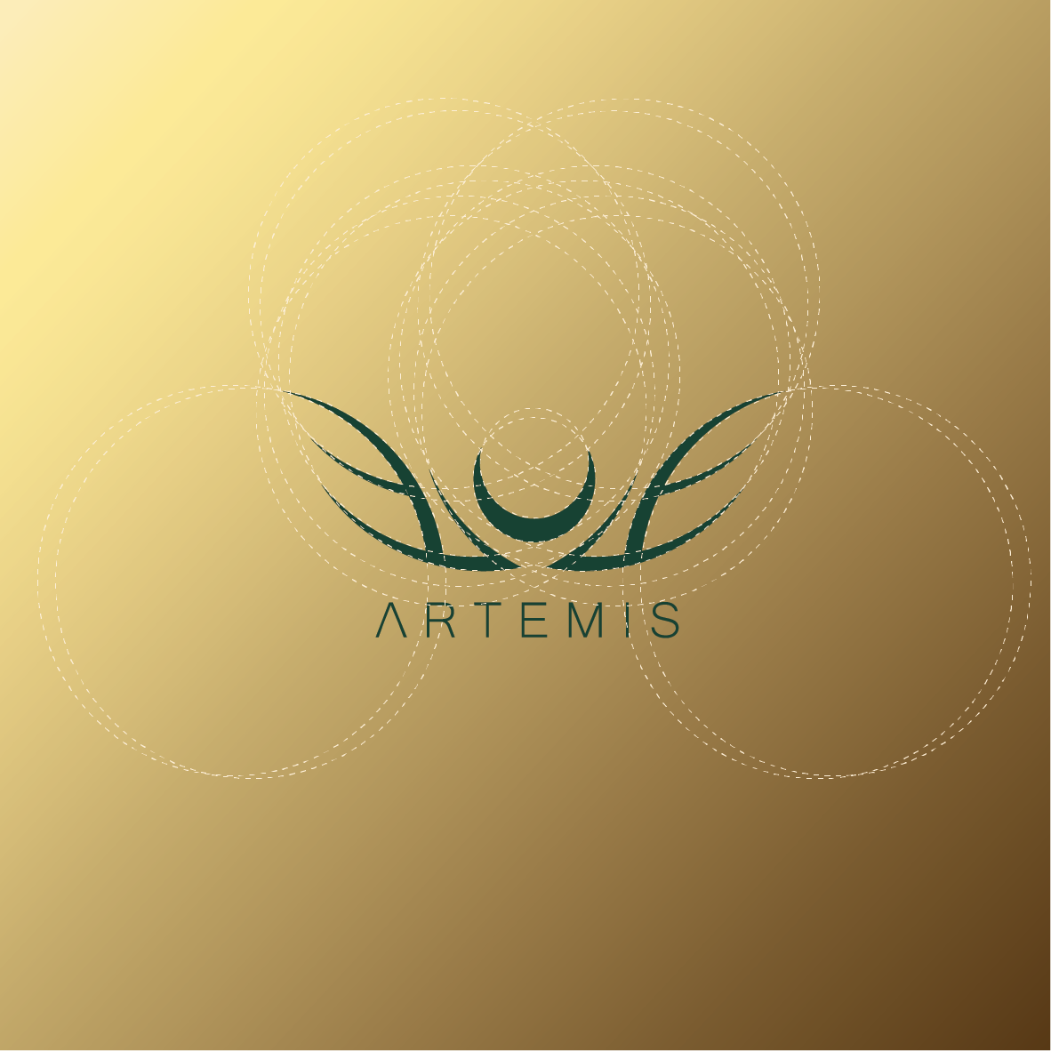 portfolio-preview