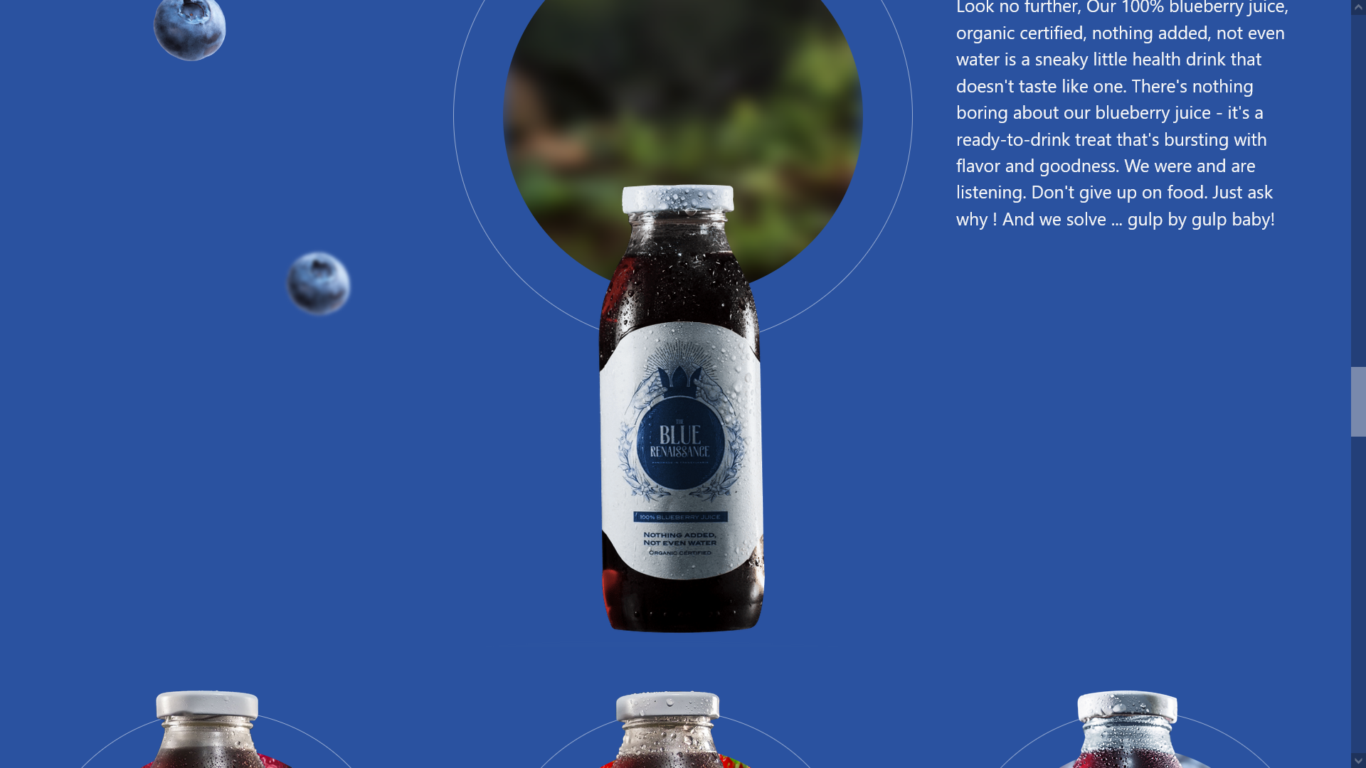 portfolio-preview